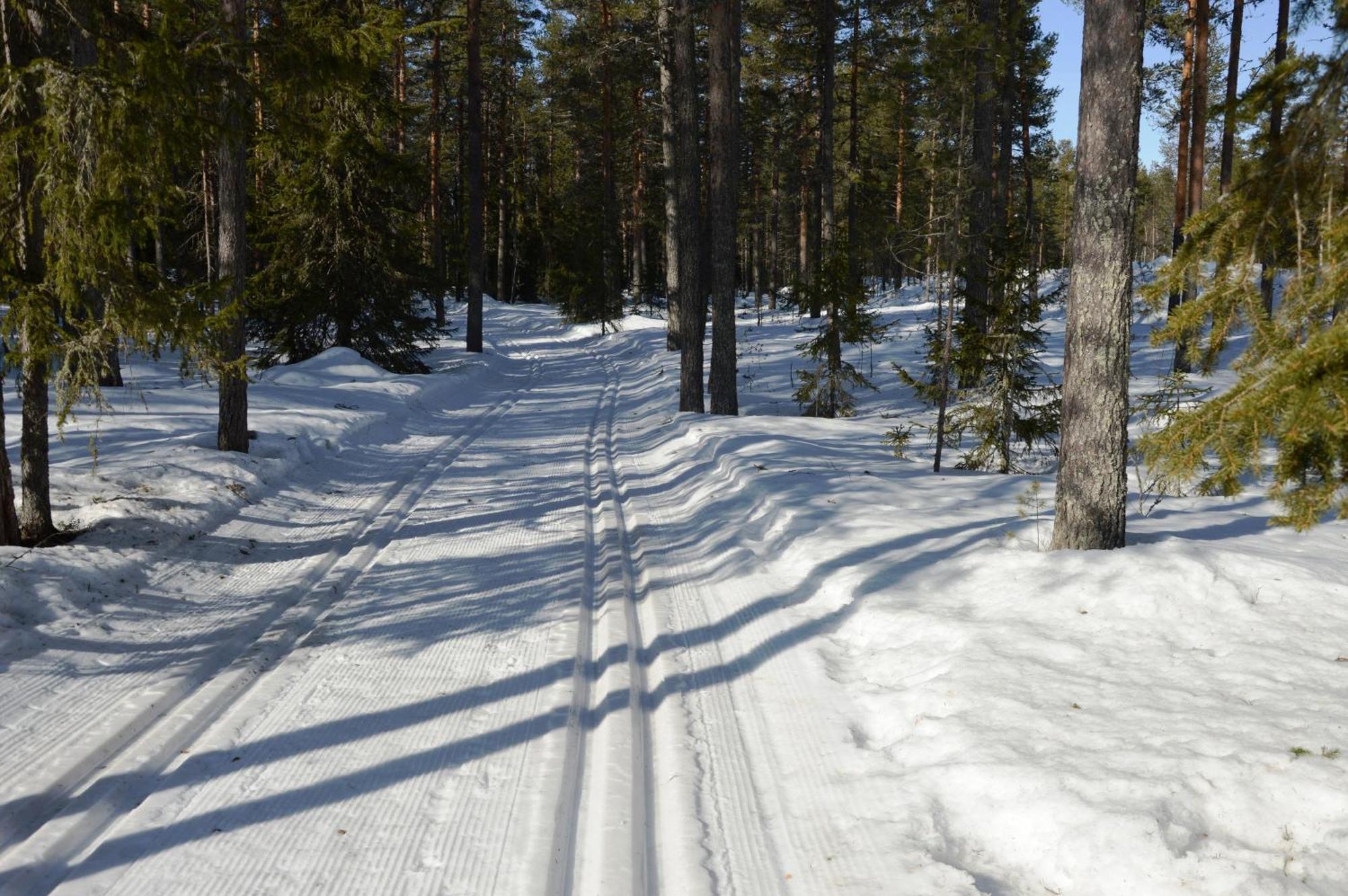 Hytte Anno 1721 Uten Internett, Strom, Vann - Men Med Rodmalt Utedo Ljørdal 外观 照片