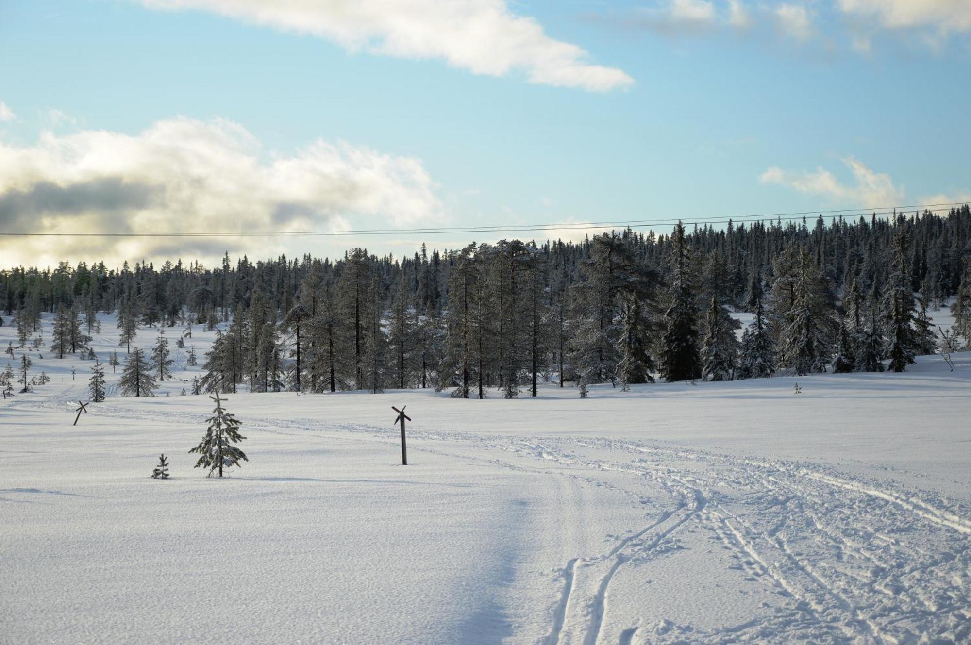 Hytte Anno 1721 Uten Internett, Strom, Vann - Men Med Rodmalt Utedo Ljørdal 外观 照片